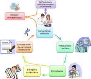 Schéma de la plateforme de génétique moléculaire des cancers