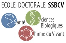 école doctorale SSBCV