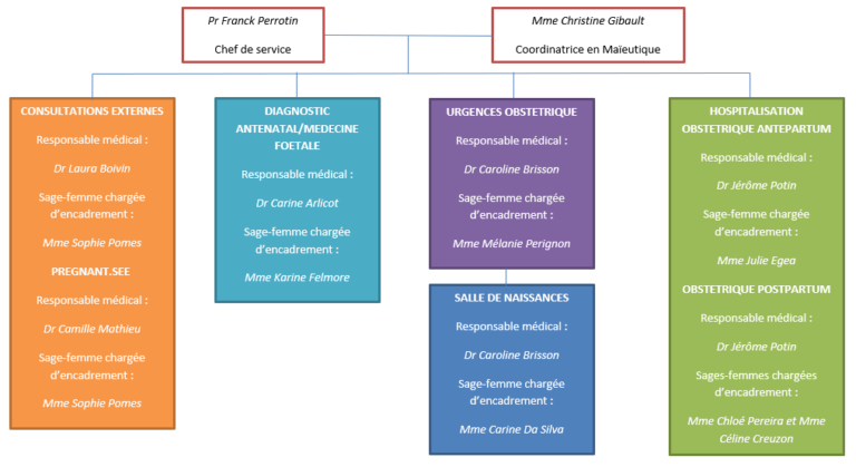 Organigramme du service d’Obstétrique