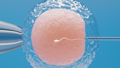 fécondation in vitro