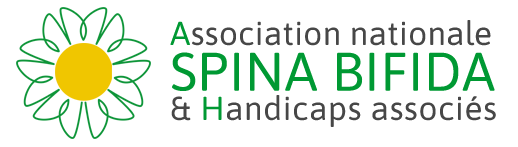 asso spina bifida