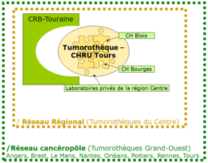 Organisation régionale et inter-régionale