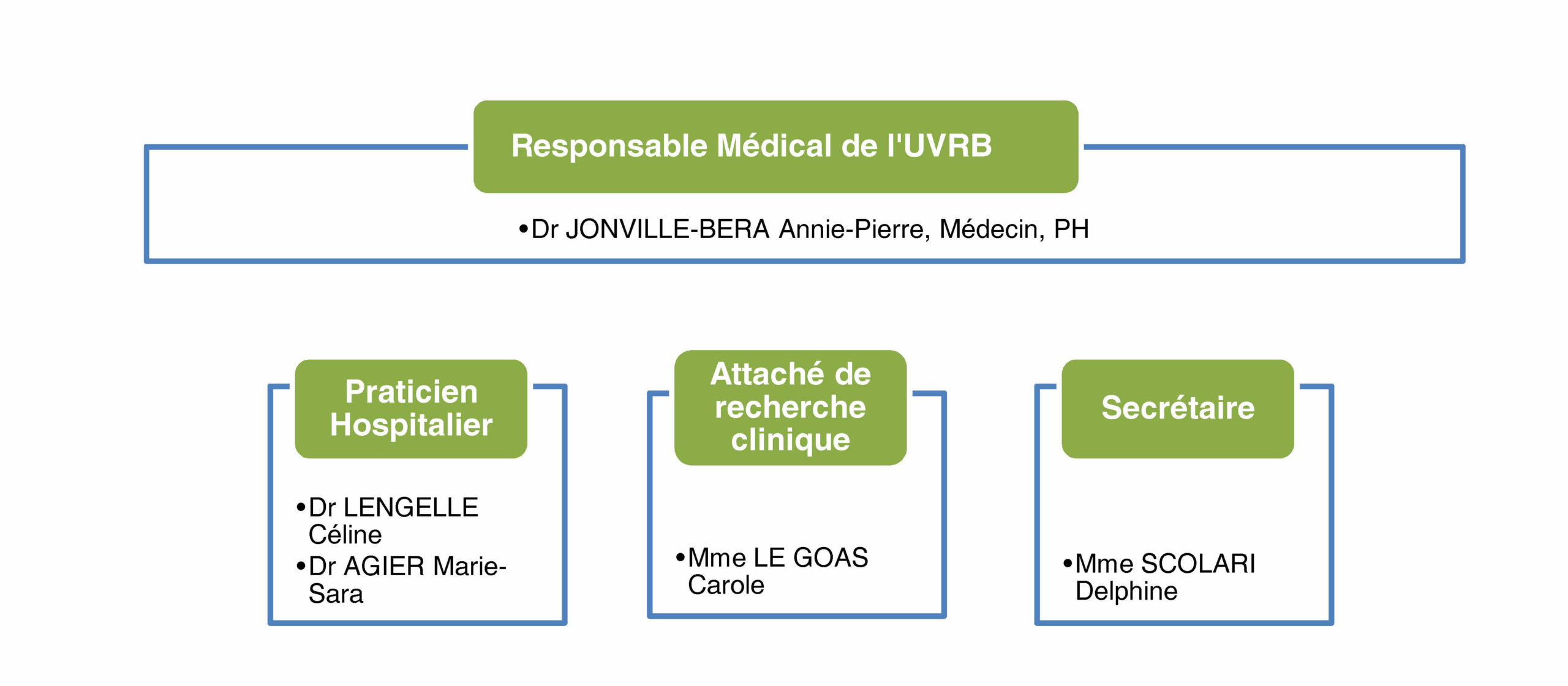 chu tours organigramme