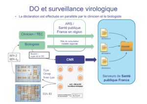 Circuit de la surveillance virologique liée à la déclaration obligatoire de séropositivité VIH