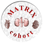 [RECHERCHE] Les premiers résultats de la cohorte MATRIX publiés dans Kidney International