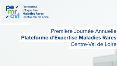 16/12 > Venez à la Journée annuelle de la Plateforme d’Expertise Maladies Rares !