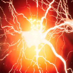 Lumière sur des neurones