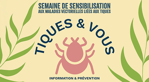 visuel-actualite