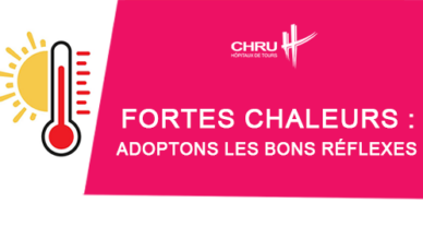 Fortes chaleurs : adoptons les bons réflexes