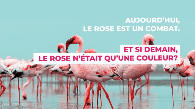 visuel-presse