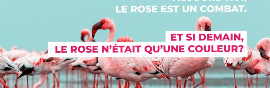 visuel-actualite